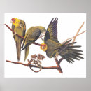 Suche nach ausgestorbene tiere poster Natur