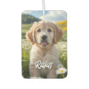 Suche nach katzengeschenk Für alle