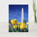 Suche nach obelisk karten Washington dc