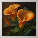 Suche nach orange lilien poster Für alle