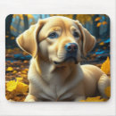 Suche nach hund spielt mousepads Labrador