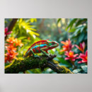 Suche nach chameleon poster Natur