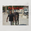 Suche nach palästinensisch postkarten Israel