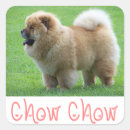 Suche nach chow chow aufkleber Liebe