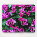 Suche nach tulpe blume mousepads Rosa
