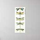 Suche nach libellen poster leinwandbilder Insekten