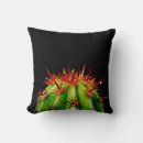 Suche nach dorn kissen Pflanze