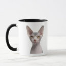 Suche nach sphynx tassen Studioschuß