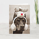 Suche nach weihnachtskarten Hund