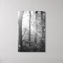 Suche nach strahlen leinwandbilder Natur