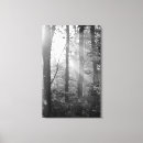 Suche nach licht leinwandbilder Strahlen