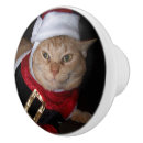 Suche nach tabby Ingwer