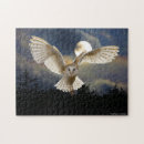 Suche nach schöne eule puzzle Vögel