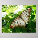 Suche nach jasmin poster Jede person