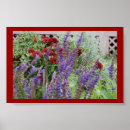 Suche nach salvia poster Lila