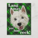 Suche nach westie postkarten Haustier