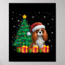 Suche nach hässliche tiere poster Dabbing santa claus