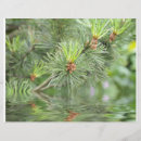 Suche nach wasser flyer Natur