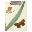 Suche nach blatt klemmbrett Blume