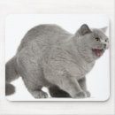 Suche nach verwirrung mousepads Horizontal