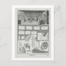 Suche nach material postkarten Schule