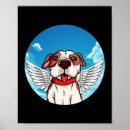 Suche nach bully poster Pitbull