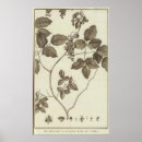 Suche nach chil poster Graviert