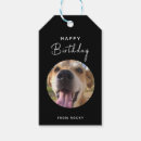 Suche nach hunde geschenkanhänger Hundefurt