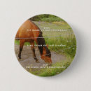 Suche nach pferd buttons Natur