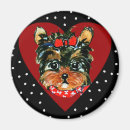 Suche nach yorkie poo magnete Hund