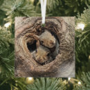 Suche nach niedliche eichhörnchen ornamente Wild lebende tiere