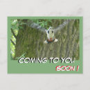 Suche nach flying postkarten Jede person