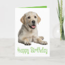 Suche nach gelbes labrador retriever karten Für alle