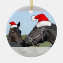 Suche nach weihnachtspferd ornamente Pony