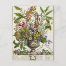 Suche nach anordnung postkarten Botanisch