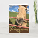 Suche nach lustiges pferd karten Jede person