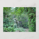 Suche nach tropischer wasserfall postkarten Hawaii