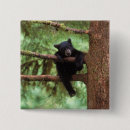 Suche nach fauna buttons Wald