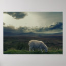 Suche nach irland landschaft poster Irisch