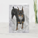 Suche nach dobermann pinscher karten Schnee