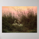 Suche nach schilfe poster Vogel