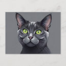 Suche nach russische katze postkarten Russisch blau