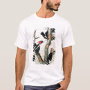 Suche nach elfenbein berechneter specht tshirts John