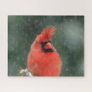 Suche nach singvögel puzzle Tier