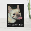 Suche nach bulldoggen alle karten Niedlicher goldhund