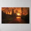 Suche nach waldbrände poster Sonnenuntergang