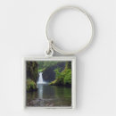 Suche nach columbia river Wald