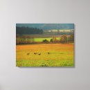 Suche nach tennessee leinwandbilder Great smoky mountains nationalpark