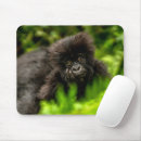 Suche nach tropische tiere mousepads Wild lebende tiere