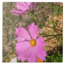 Suche nach schöne blume fliesen Rosa